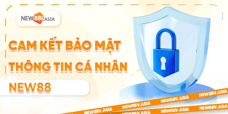 Cam kết bao vệ thông tin cá nhân new88