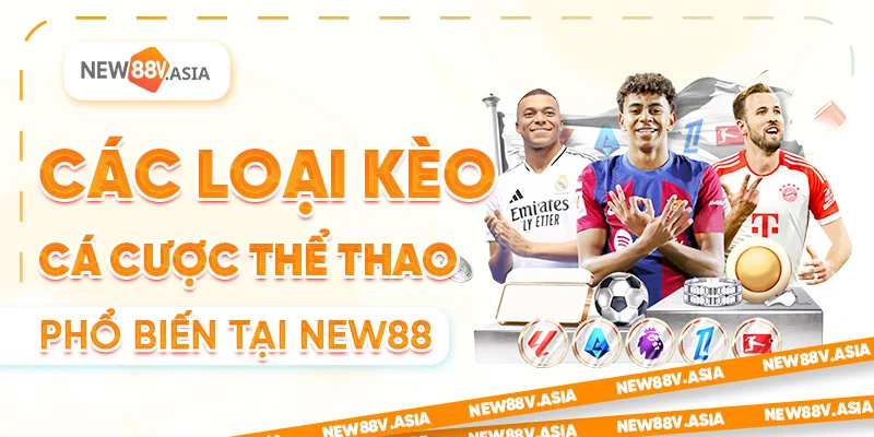 Các Loại Kèo Cá Cược Thể Thao Tại New88