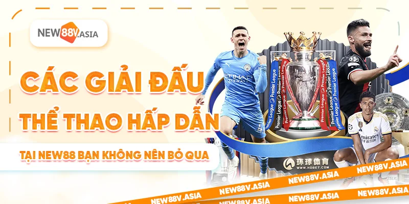 Các Giải Đấu Thể Thao Hấp Dẫn Tại New88 Bạn Không Nên Bỏ Qua