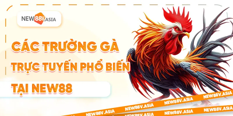 Các Trường Gà Trực Tuyến Phổ Biến Tại New88