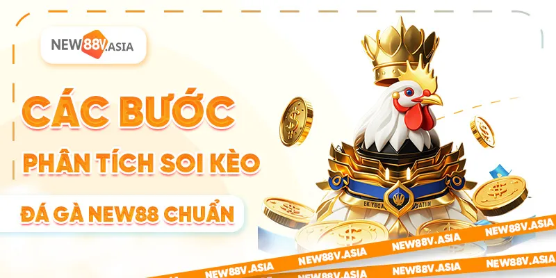 Các bước Soi Kèo Đá Gà New88 