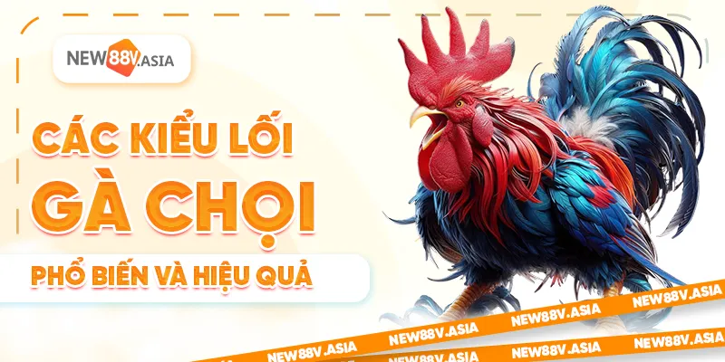 Lối gà chọi hay nhất: Bí kíp chọn và phát triển chiến kê 1 Các kiểu lối gà chọi phổ biến và hiệu quả
