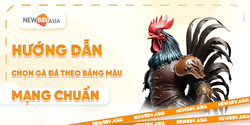 Bảng màu mạng gà đá chuẩn xác giúp chọn đá gà thắng lớn 3 Hướng dẫn chọn gà đá theo bảng màu mạng chuẩn