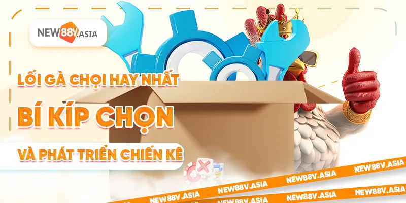 Lối gà chọi hay nhất: Bí kíp chọn và phát triển chiến kê