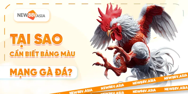 Bảng màu mạng gà đá chuẩn xác giúp chọn đá gà thắng lớn 1 Tại sao cần biết bảng màu mạng gà đá?