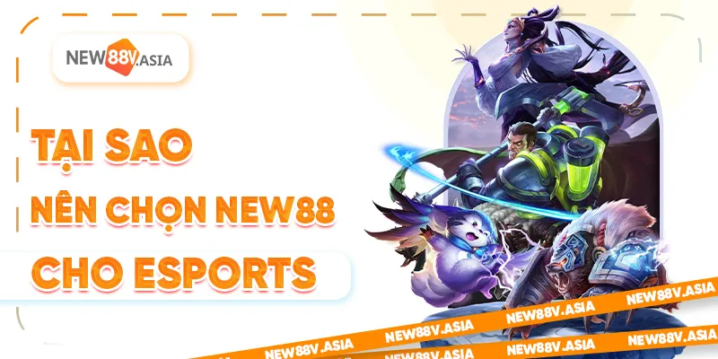 Tại sao nên chọn New88 cho Esports