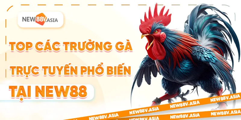 Top Các Trường Gà Trực Tuyến Phổ Biến Tại New88