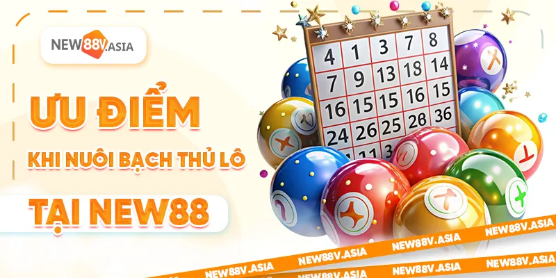 Nuôi bạch thủ lô khung 2 ngày: Bí quyết soi cầu hiệu quả 3 Ưu điểm khi nuôi bạch thủ lô tại New88
