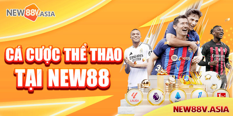 Các Loại Kèo Cá Cược Thể Thao Phổ Biến Tại New88 1 Giới thiệu tổng quát về kèo cá cược thể thao tại New88
