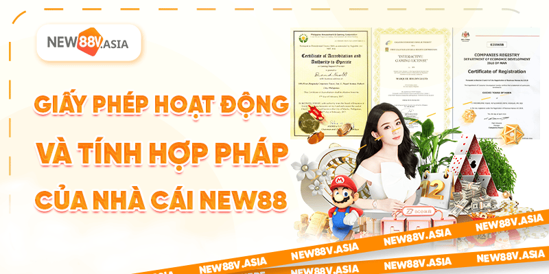 Giấy Phép Hoạt Động Và Tính Hợp Pháp