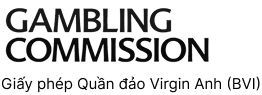 giấy phép gambling